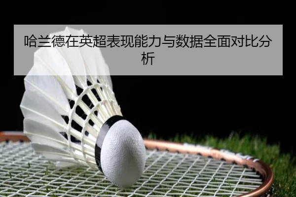 哈兰德在英超表现能力与数据全面对比分析