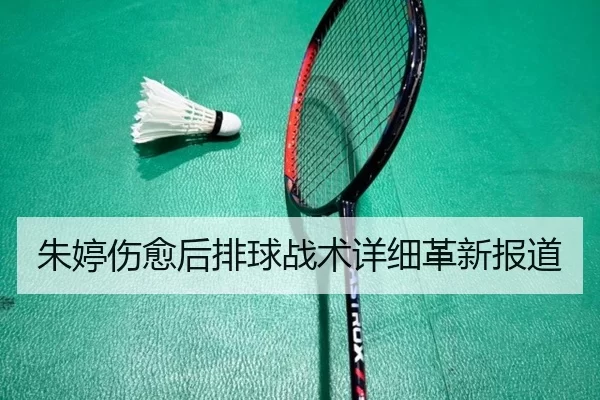 朱婷伤愈后排球战术详细革新报道